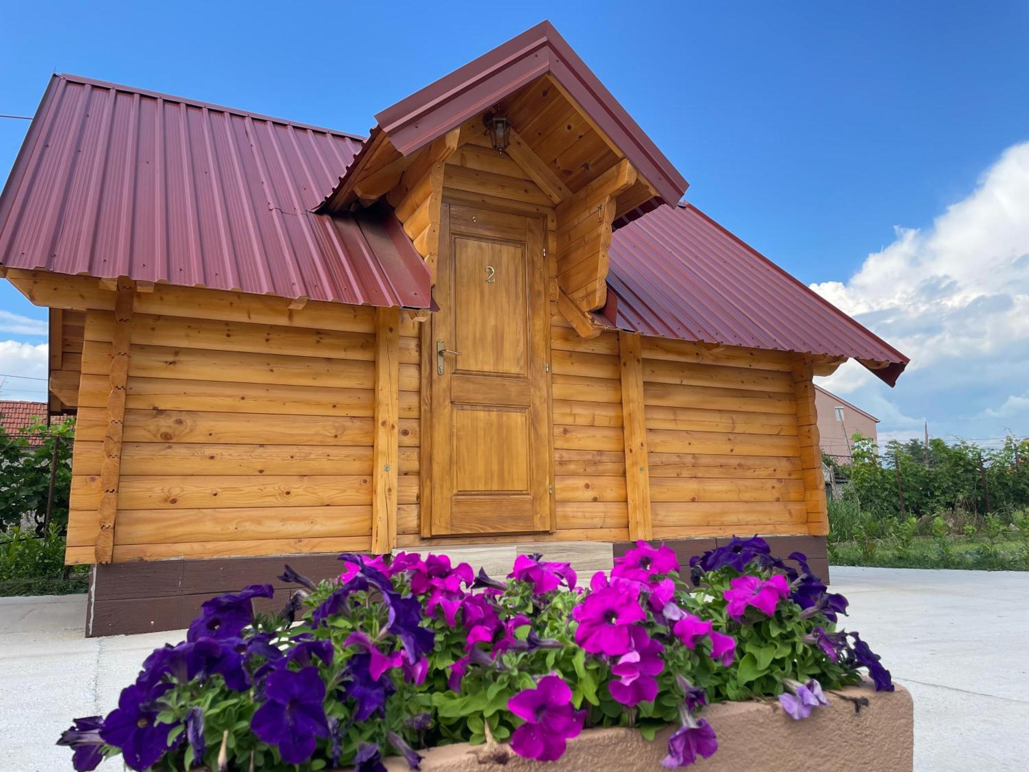 Cozy Bungallows Podgoriţa Exterior foto